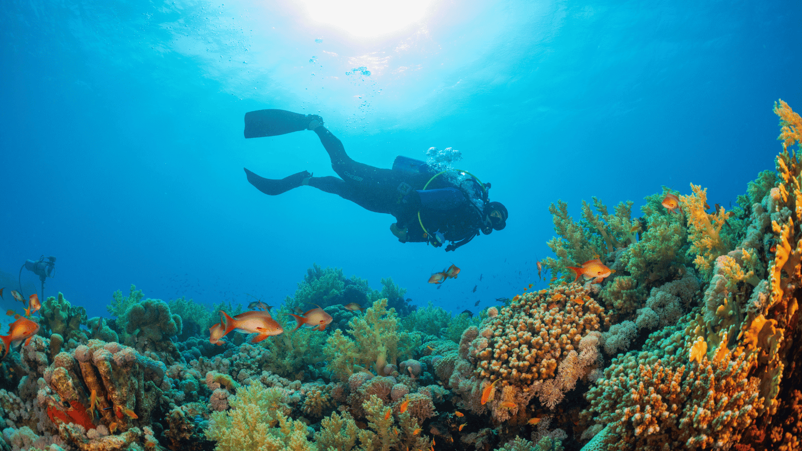Buceo tranquilo con un vida a bordo - Jordi Atienza Viajes GoPro