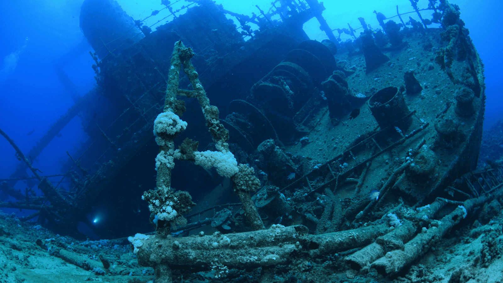 Giannis D Shipwreck Mar Rojo - Jordi Atienza Viajes GoPro