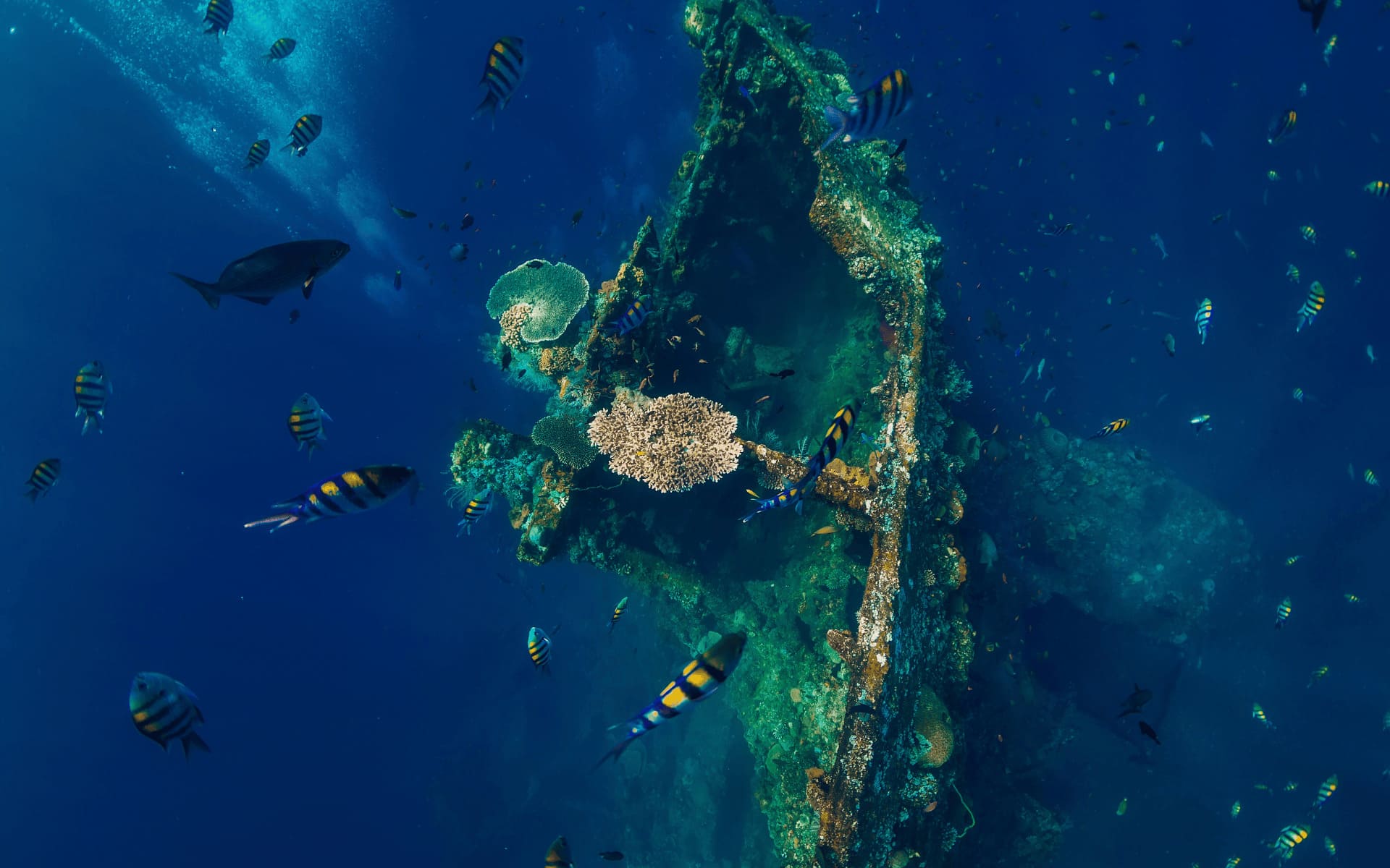 USS Liberty wreck-Bali con Jordi Atienza -VIajes-GoPro