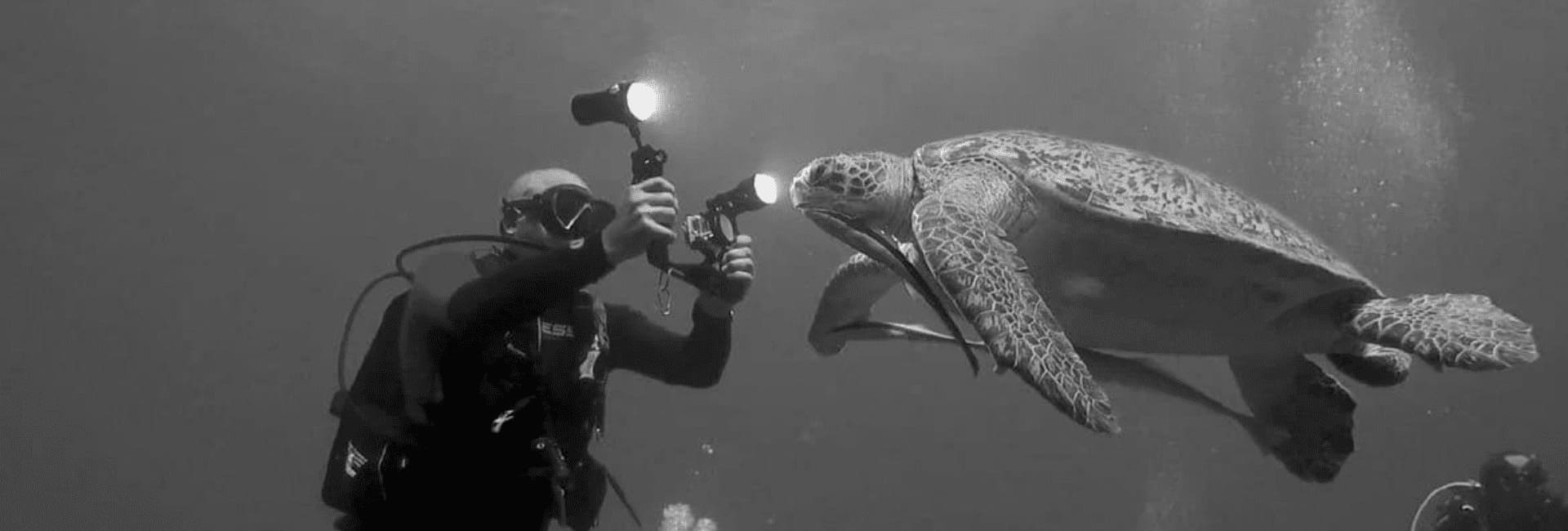 Jordi Atienza grabando una tortuga en el Mar Rojo