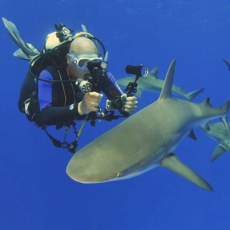 Jordi Atienza y tiburones en Cuba