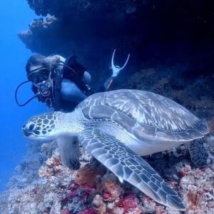 Tortuga Gador Muntaner con Jordi Atienza - Viajes GoPro